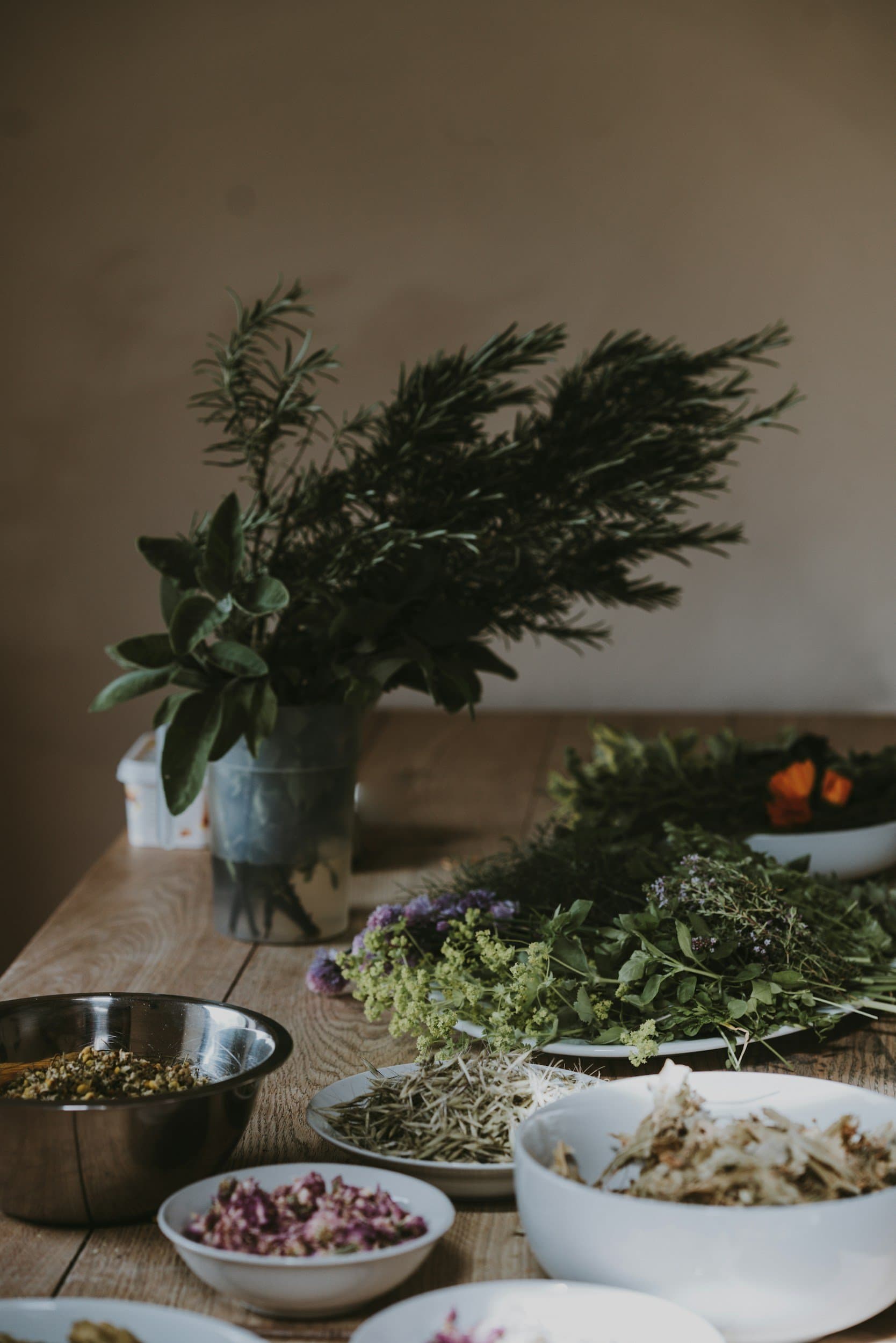 Botanical Medicine